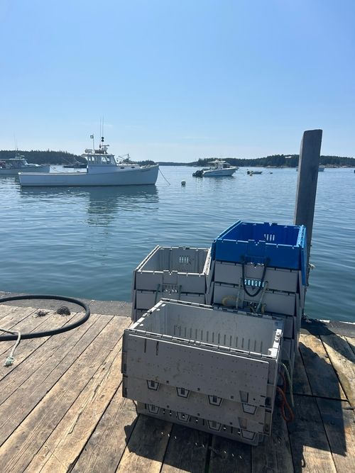 Trident SPS reusable plastic containers stacked on a Maine harbor dock with lobster boats in the background