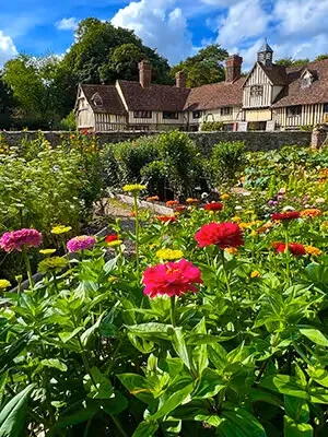 Zinnias at Ightham Mote