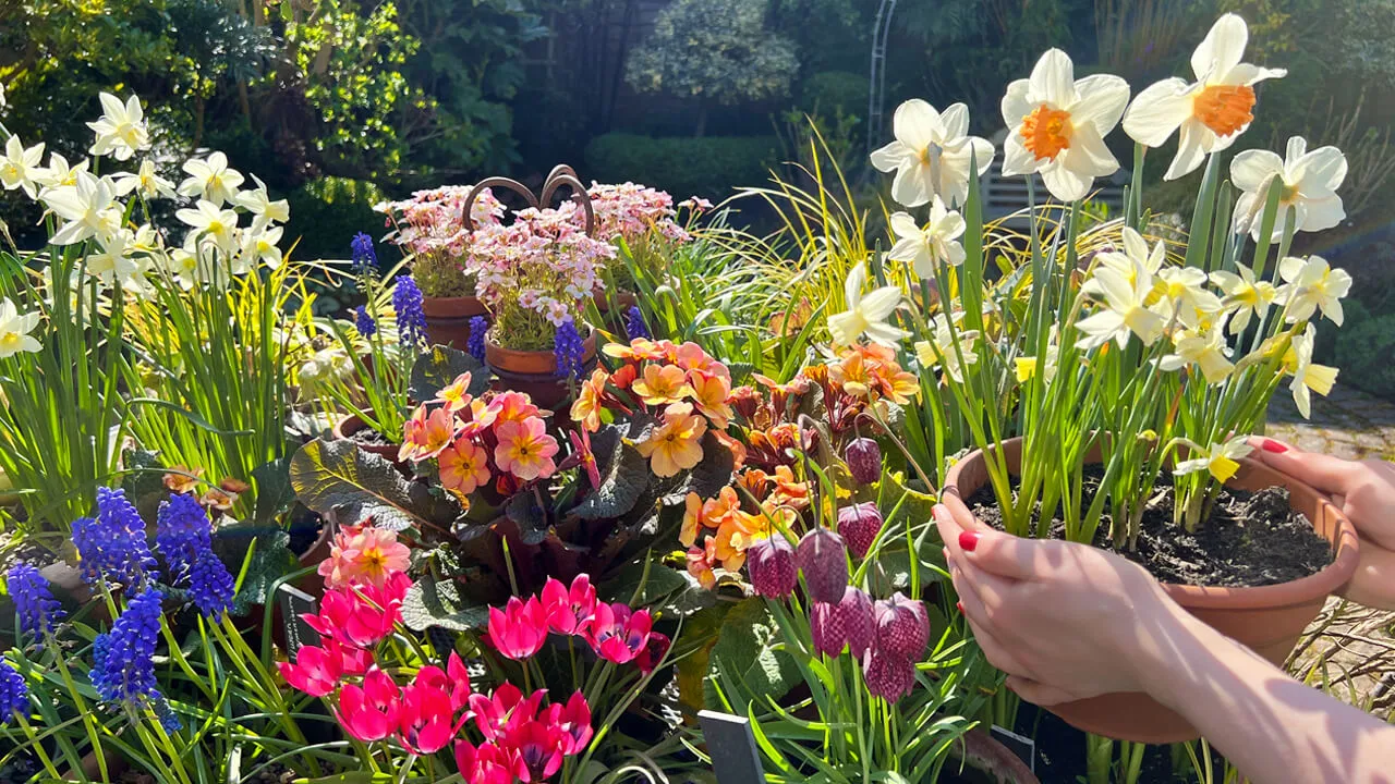 April English Garden Update