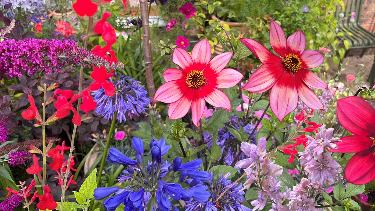 Pretty English Summer Garden