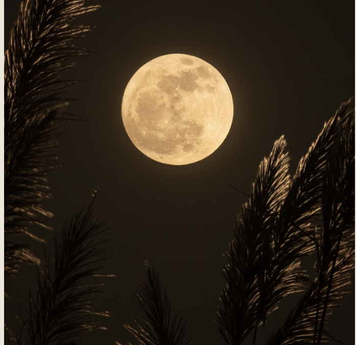 Full Moon Dinner