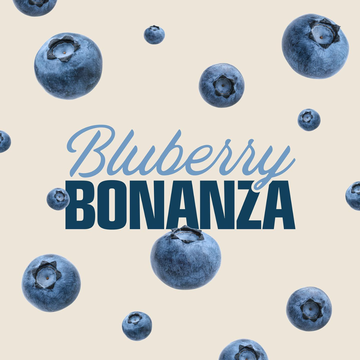 Blueberry Bonanza 