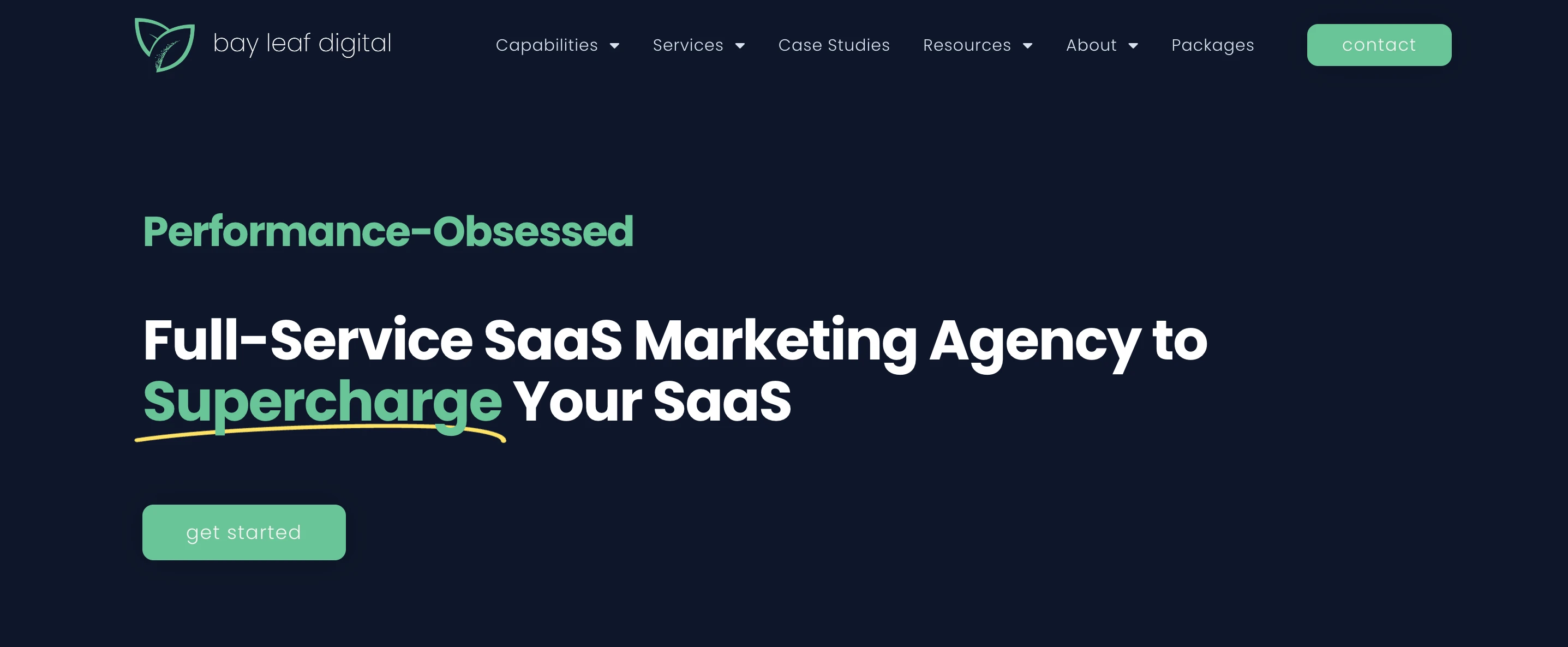 Screenshot of Bay Leaf Digital homepage