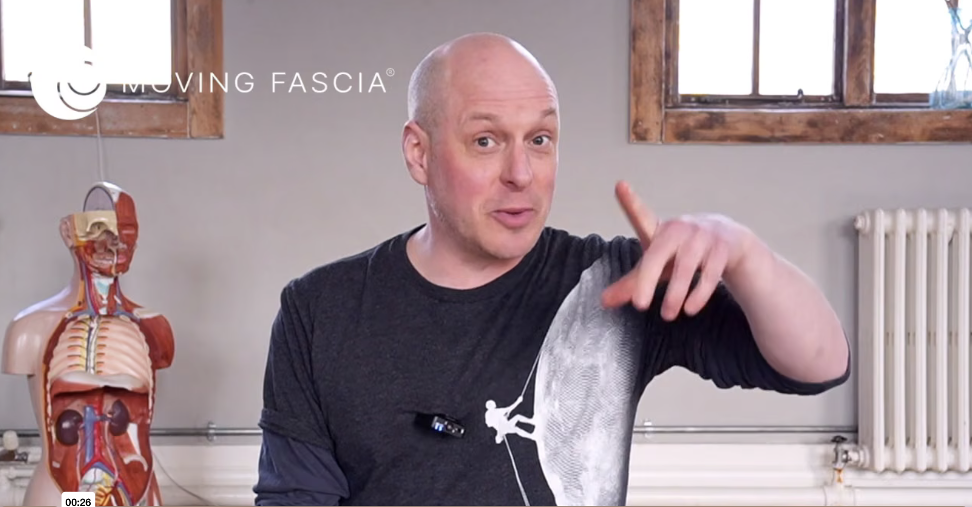 the universe inside, connective tissue, fascia