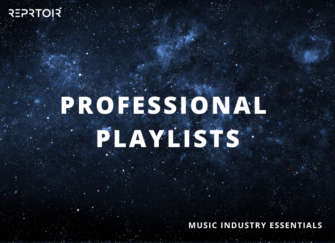 Professional Playlists: The B2B Secret Weapon in Music Promotion