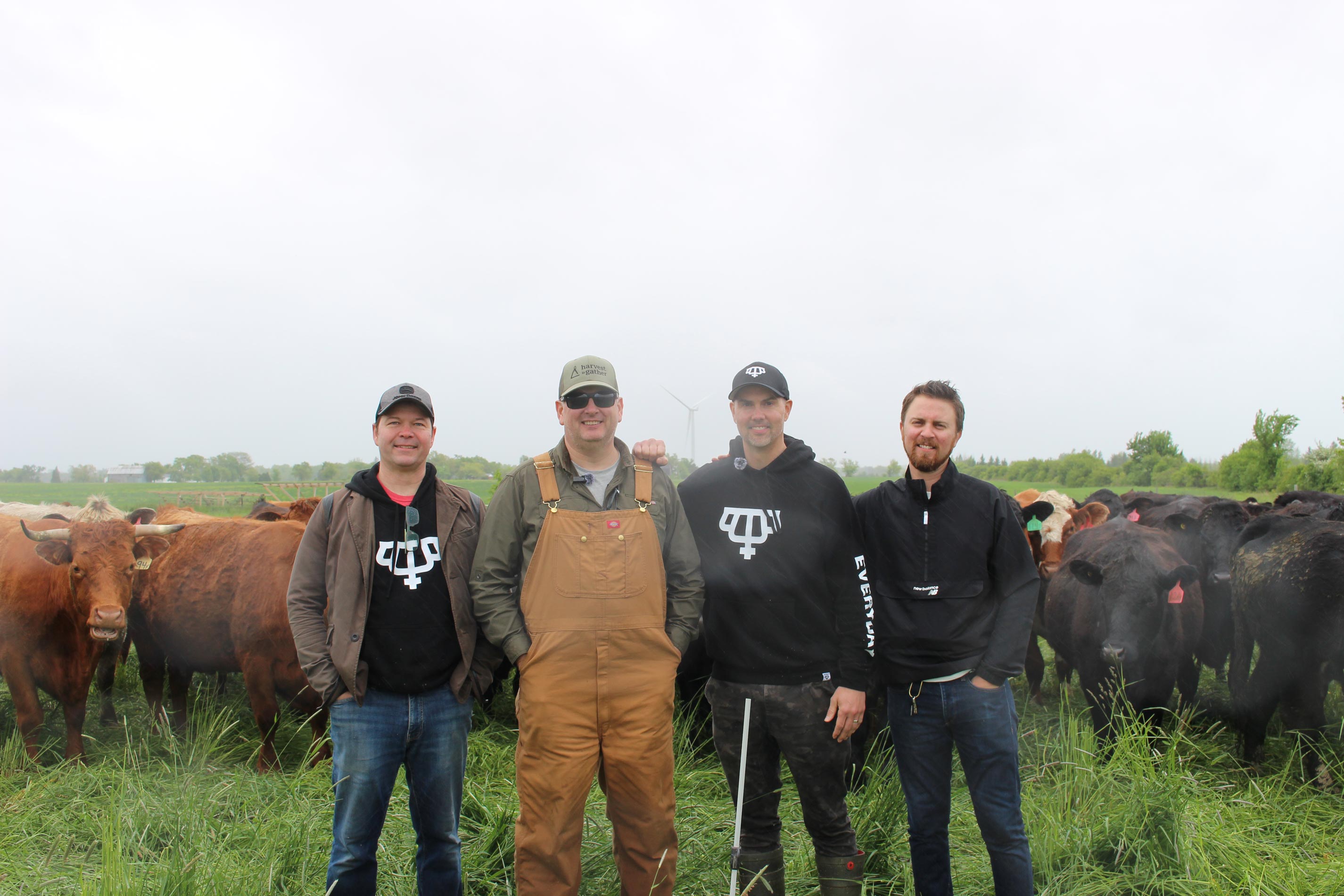 Four men stand in a grassy field with a herd of cattle behind them. Three of the men wear jackets and jeans, while the second from the left wears tan overalls and a baseball cap. Two men wear matching black hoodies with a white Impact logo. A wind turbine is visible in the background under an overcast sky.