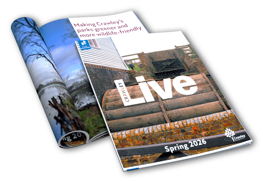 Crawley Live