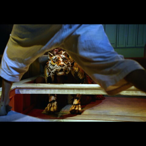 Life of Pi