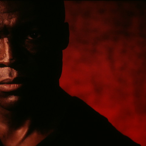 Seal - 7