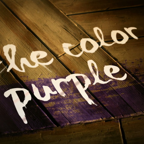 The Color People
