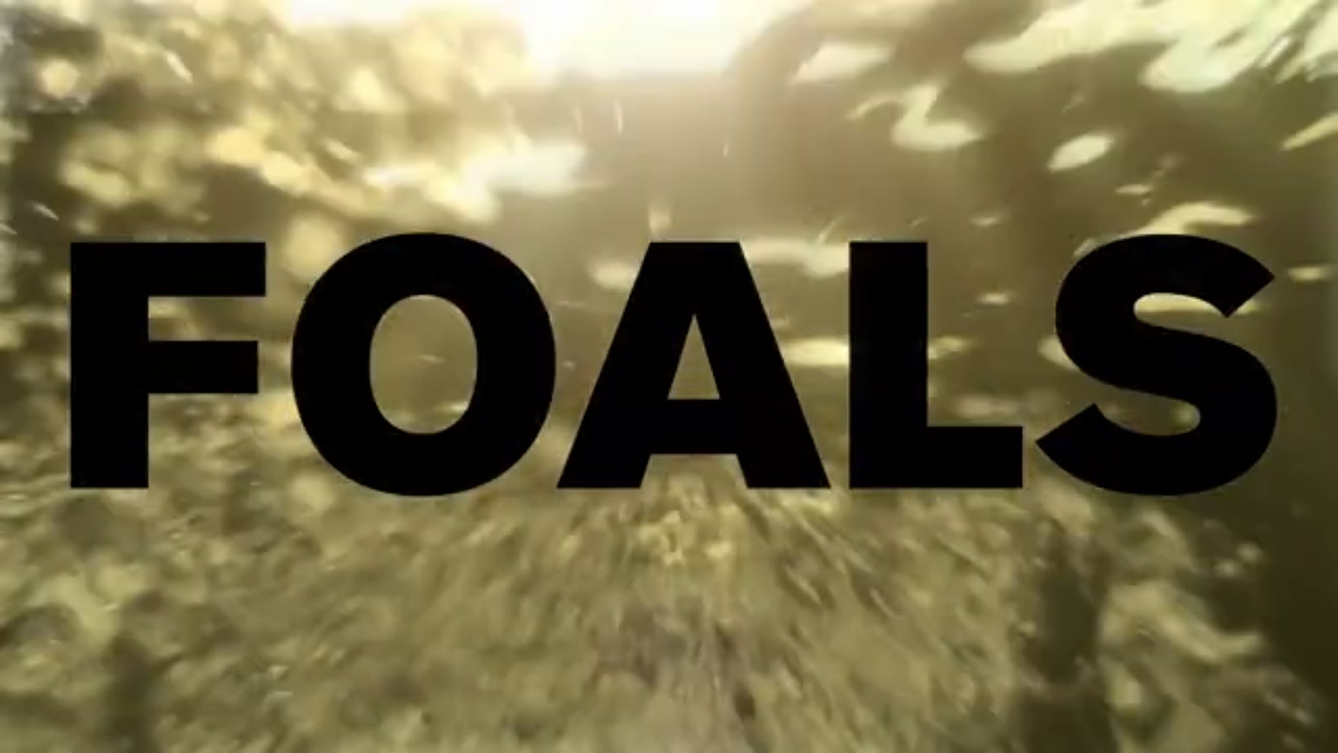 Foals - Holy Fire