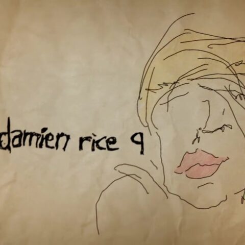 Damien Rice - 9