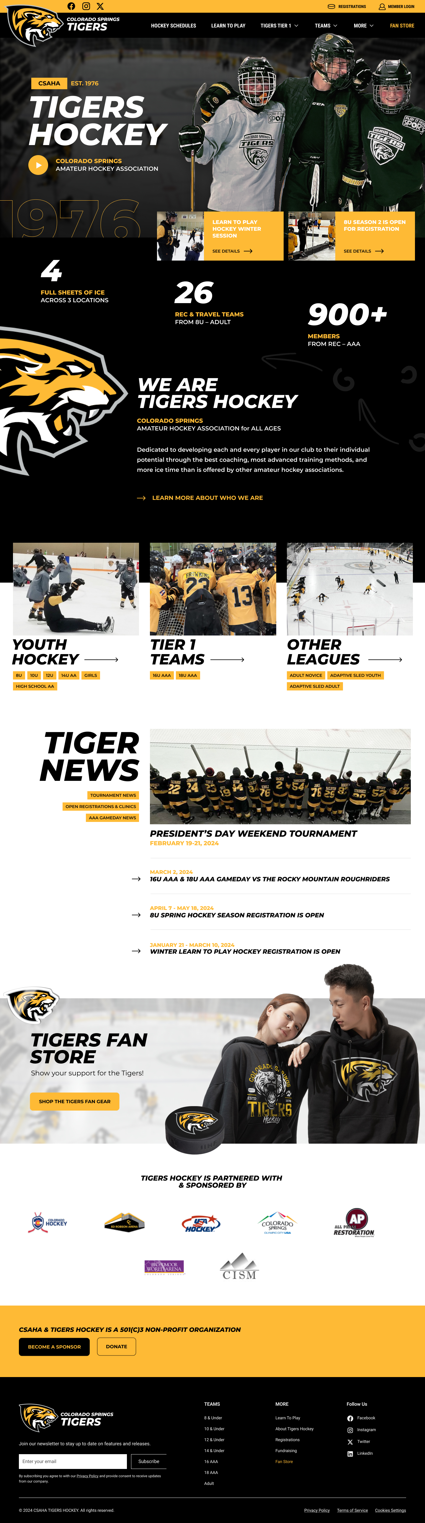 WCG's homepage concept