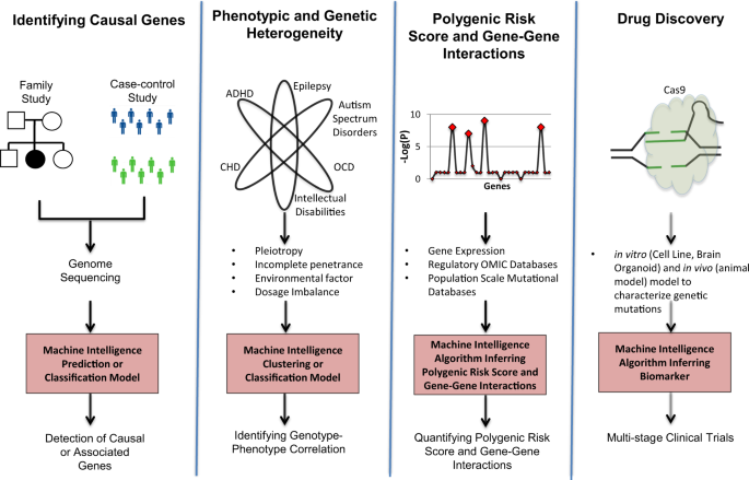 Artificial intelligence for precision medicine in neurodevelopmental  disorders | npj Digital Medicine