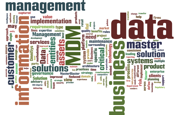 12 Master Data Management (MDM) Cloud Words Infographic | Tech Talk