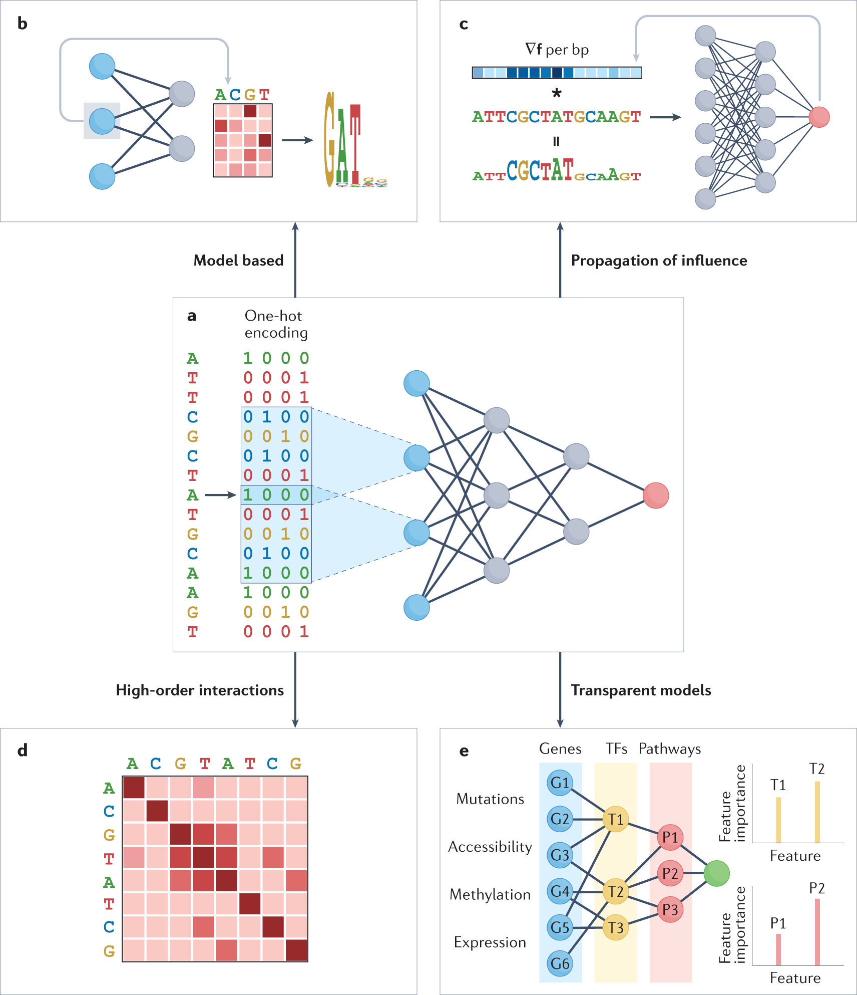 Explainable AI - Deep Learning Models: Black Box to Emerging Genomics ...