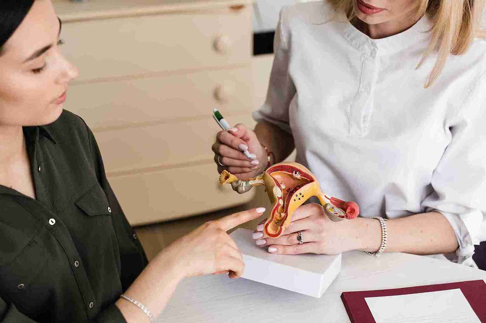 Cervical Mucus and Reproductive Health