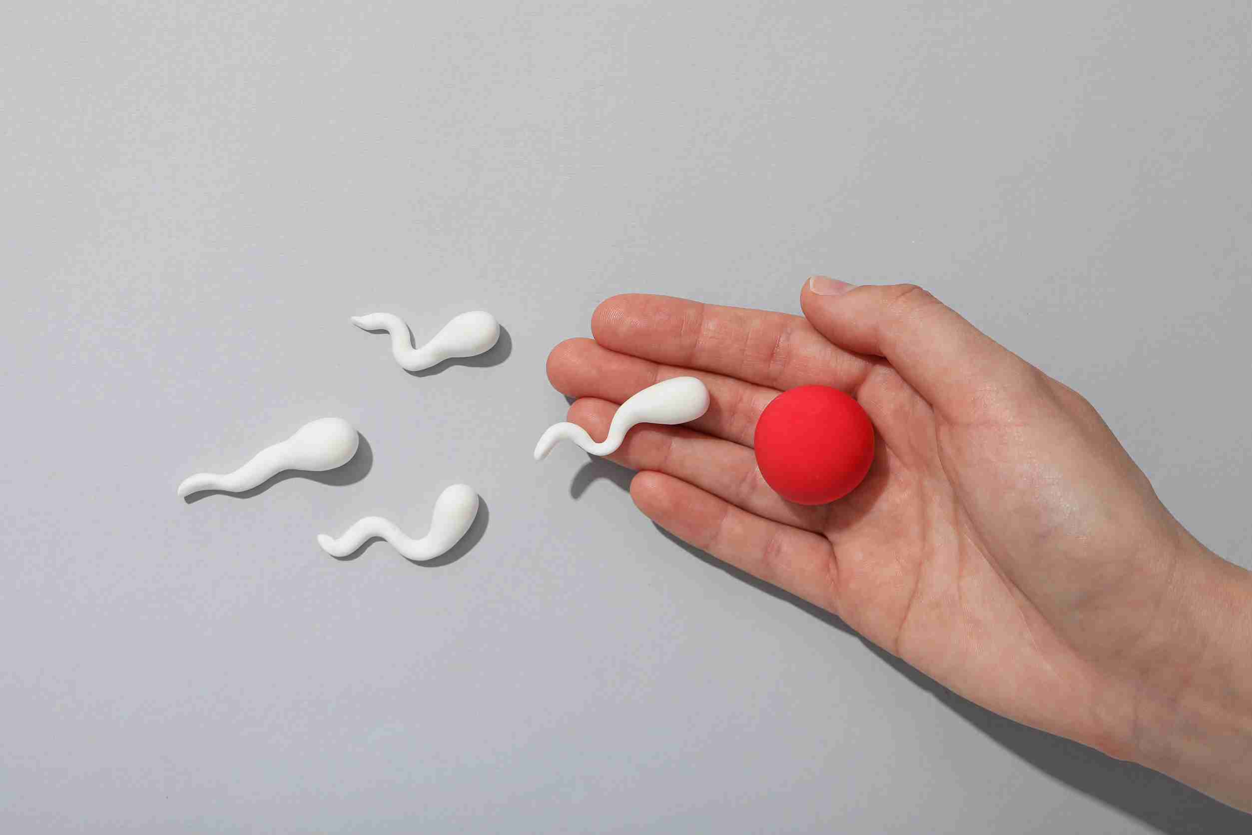 How sperm health can affect IVF outcomes