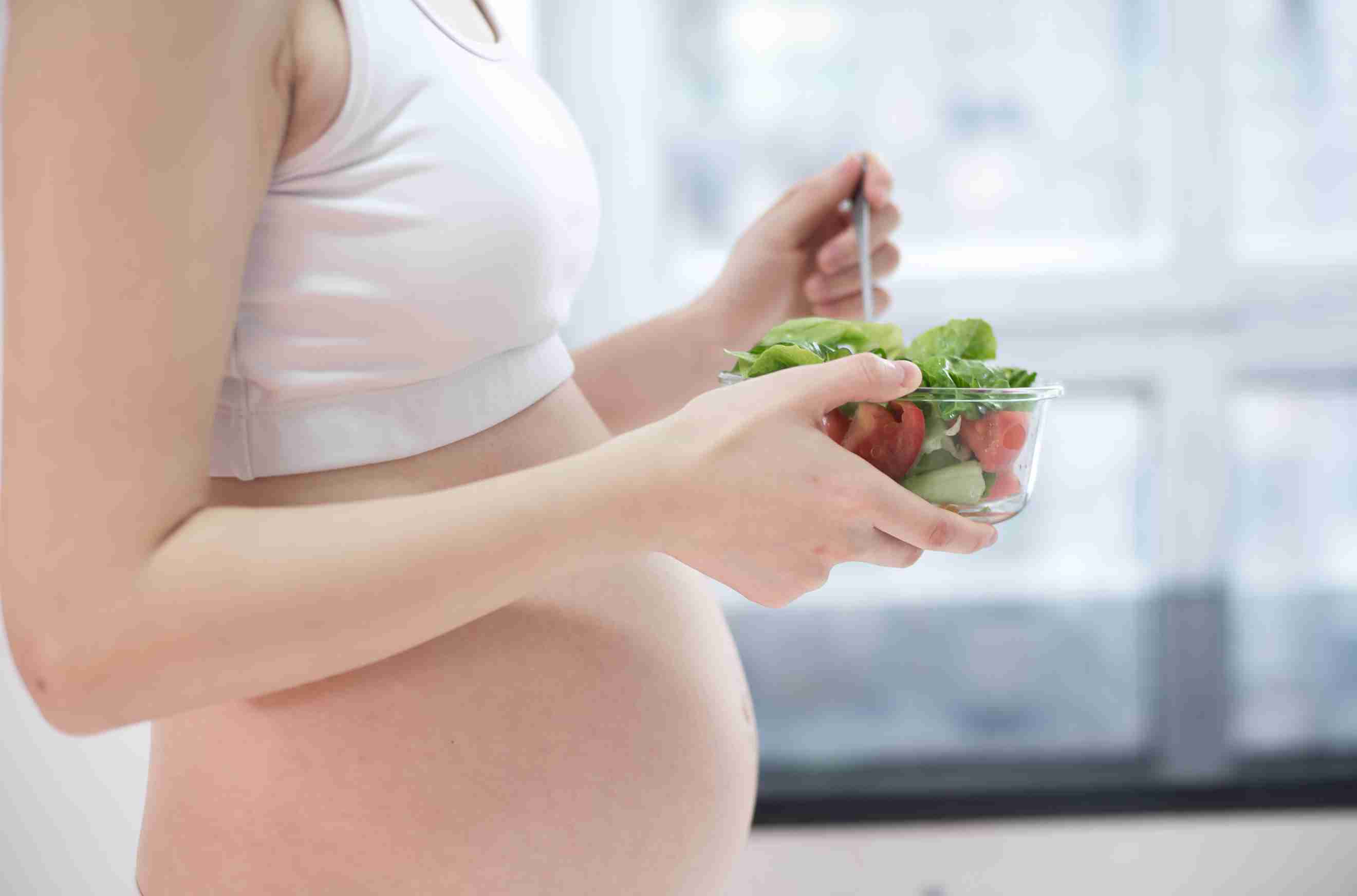 Critical Nutrients for Early Pregnancy