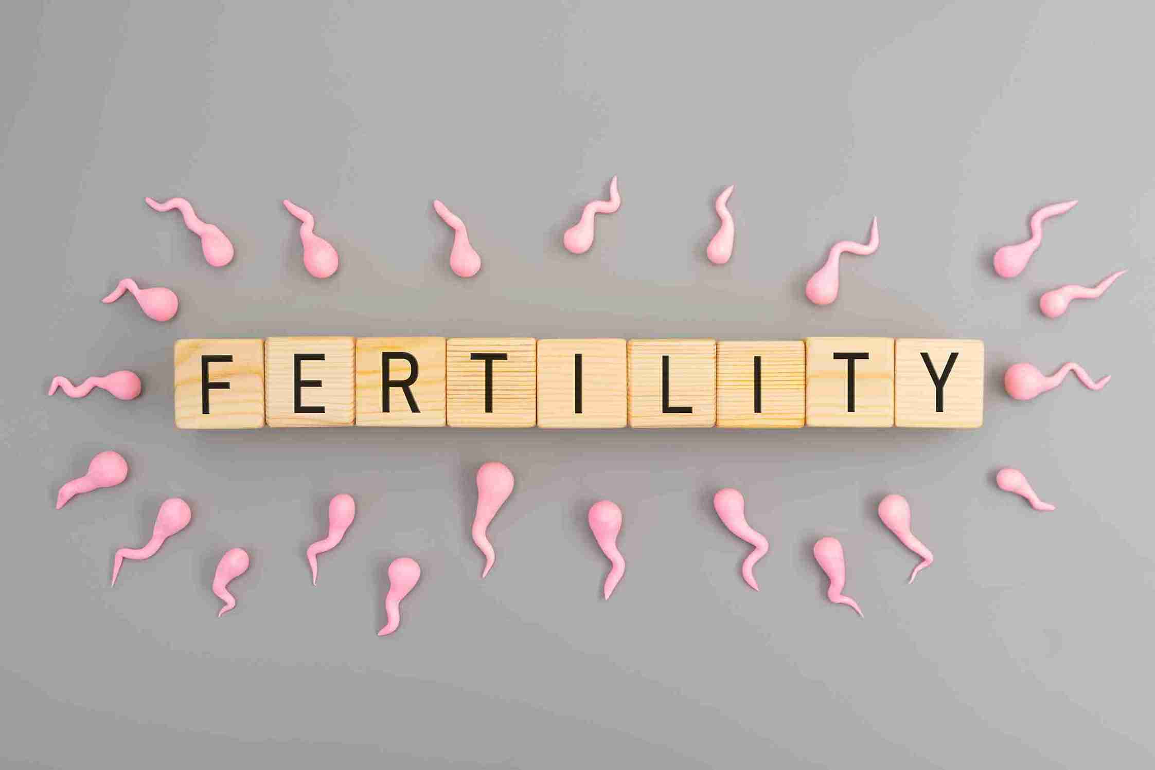 What is Fertility?