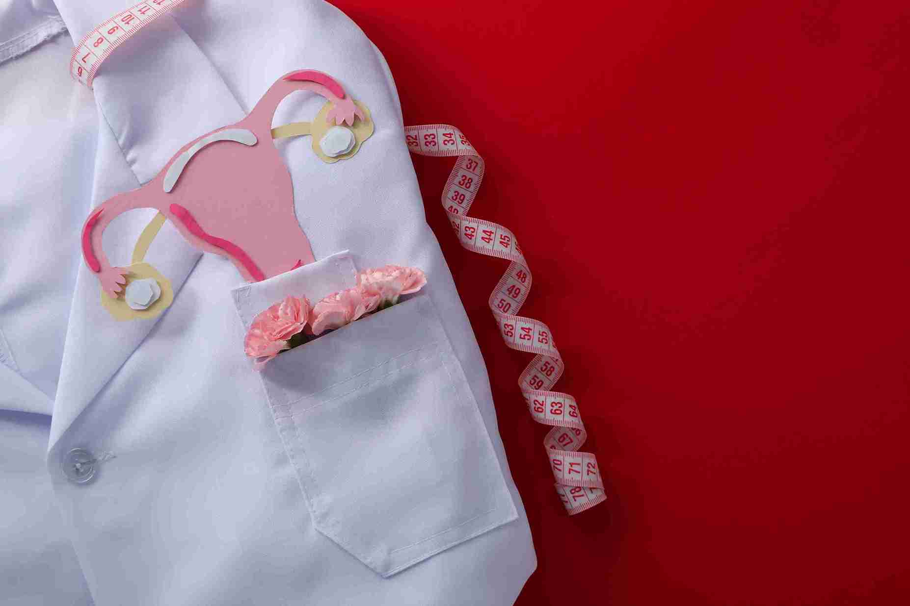 What is Premature Ovarian Failure
