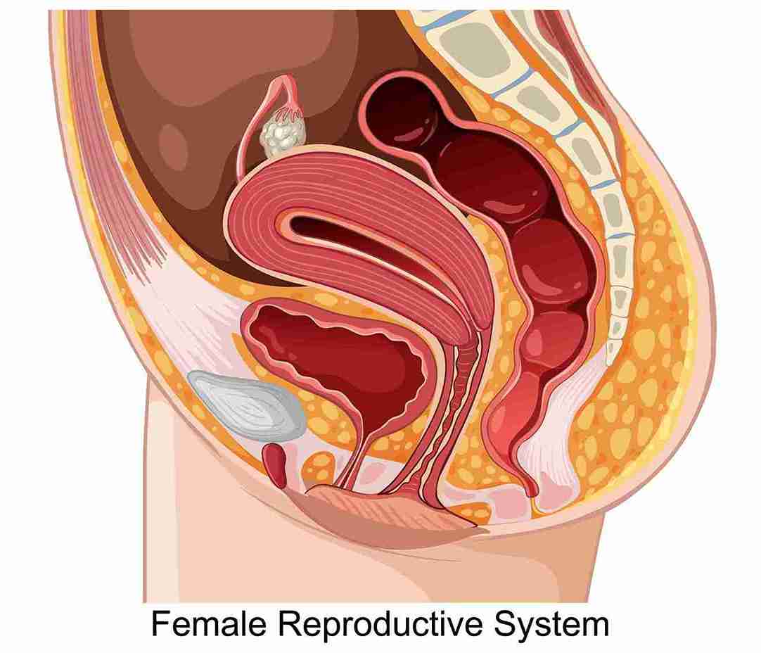 If you are asking yourself what is Chadwick sign