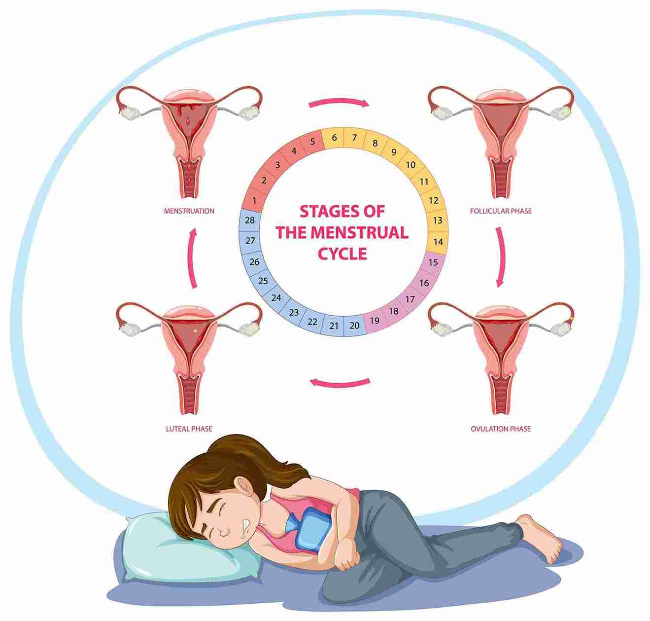 Pregnancy Chances Timeline (Easy Breakdown)