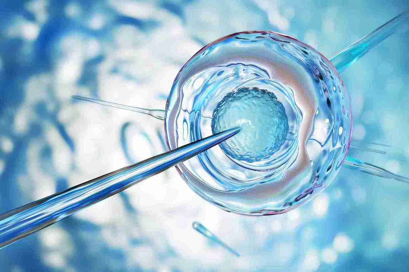 Embryo Quality: The Most Common Factor