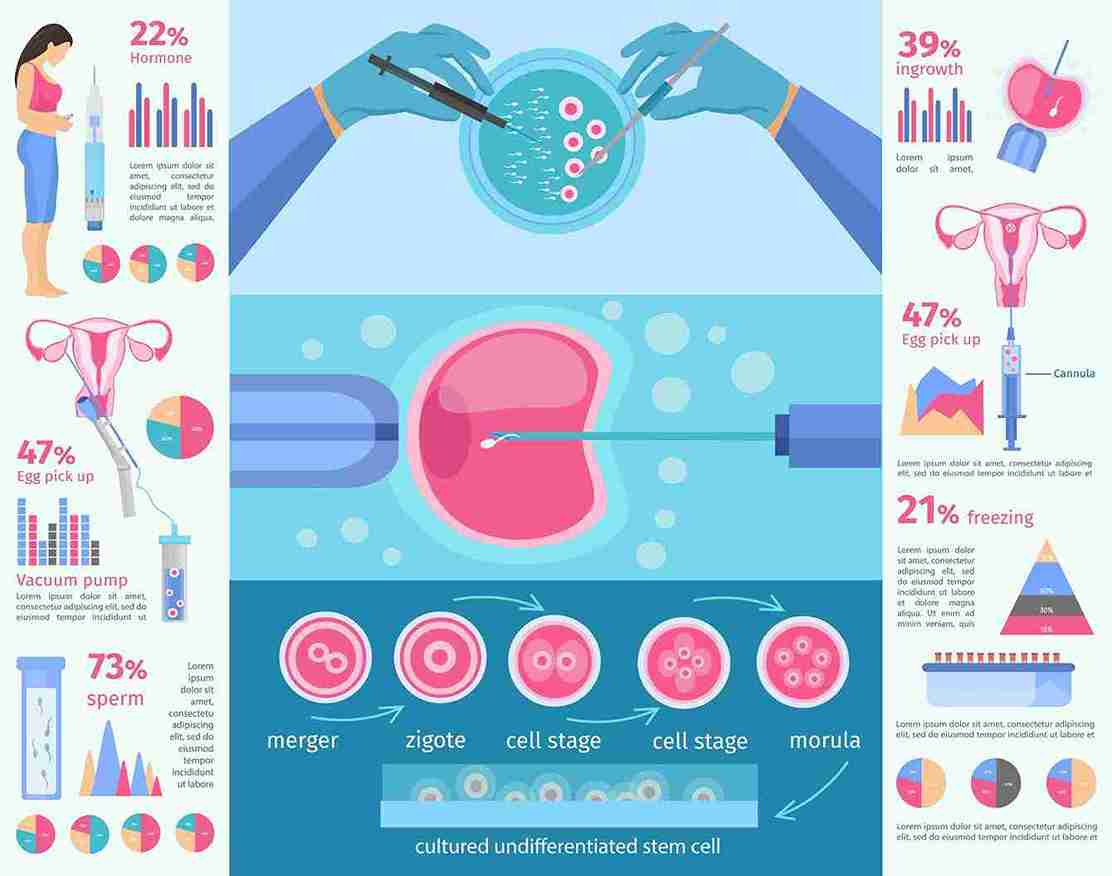 most patients, frozen embryo transfer is performed about 4–8 weeks after egg retrieval,