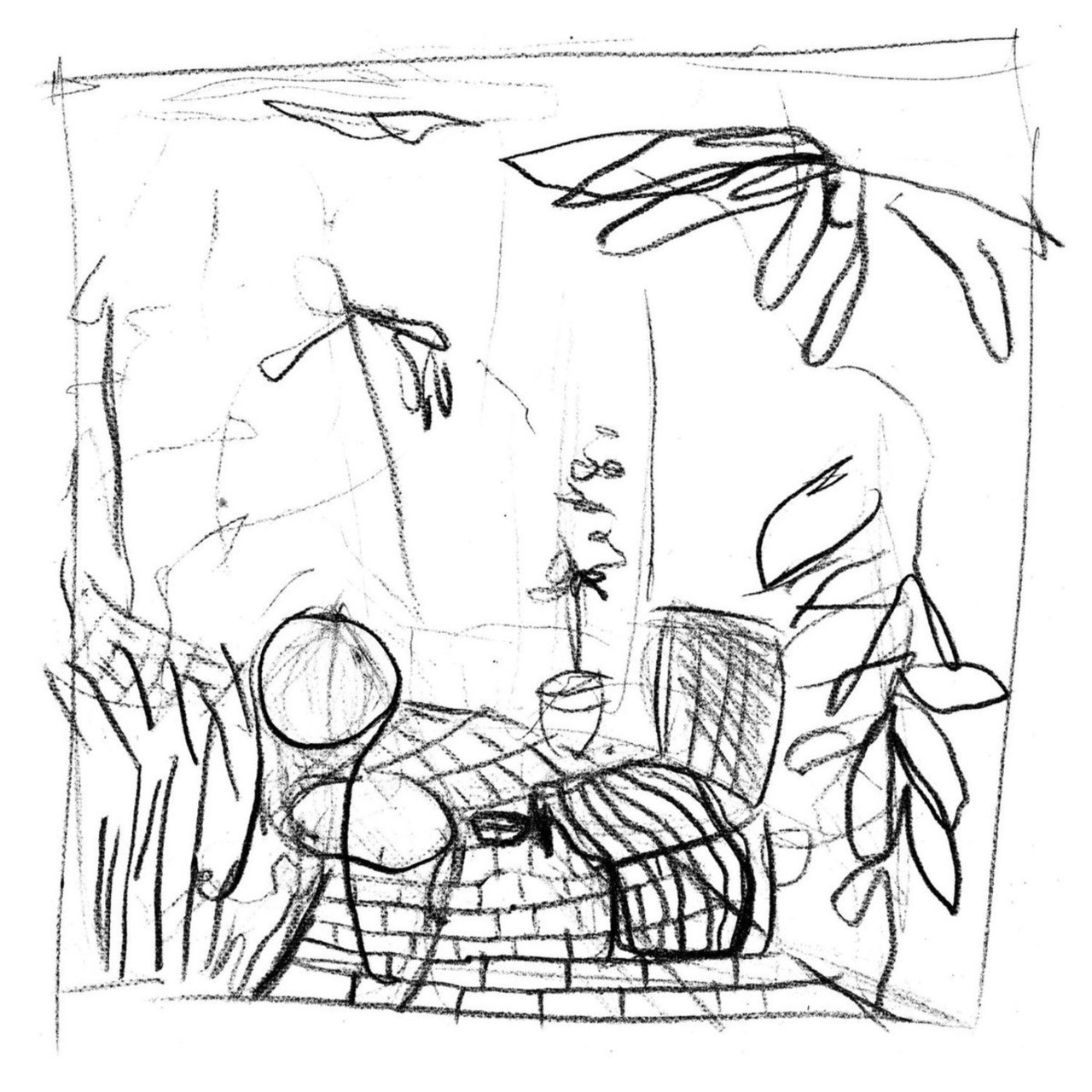 Still House Plants