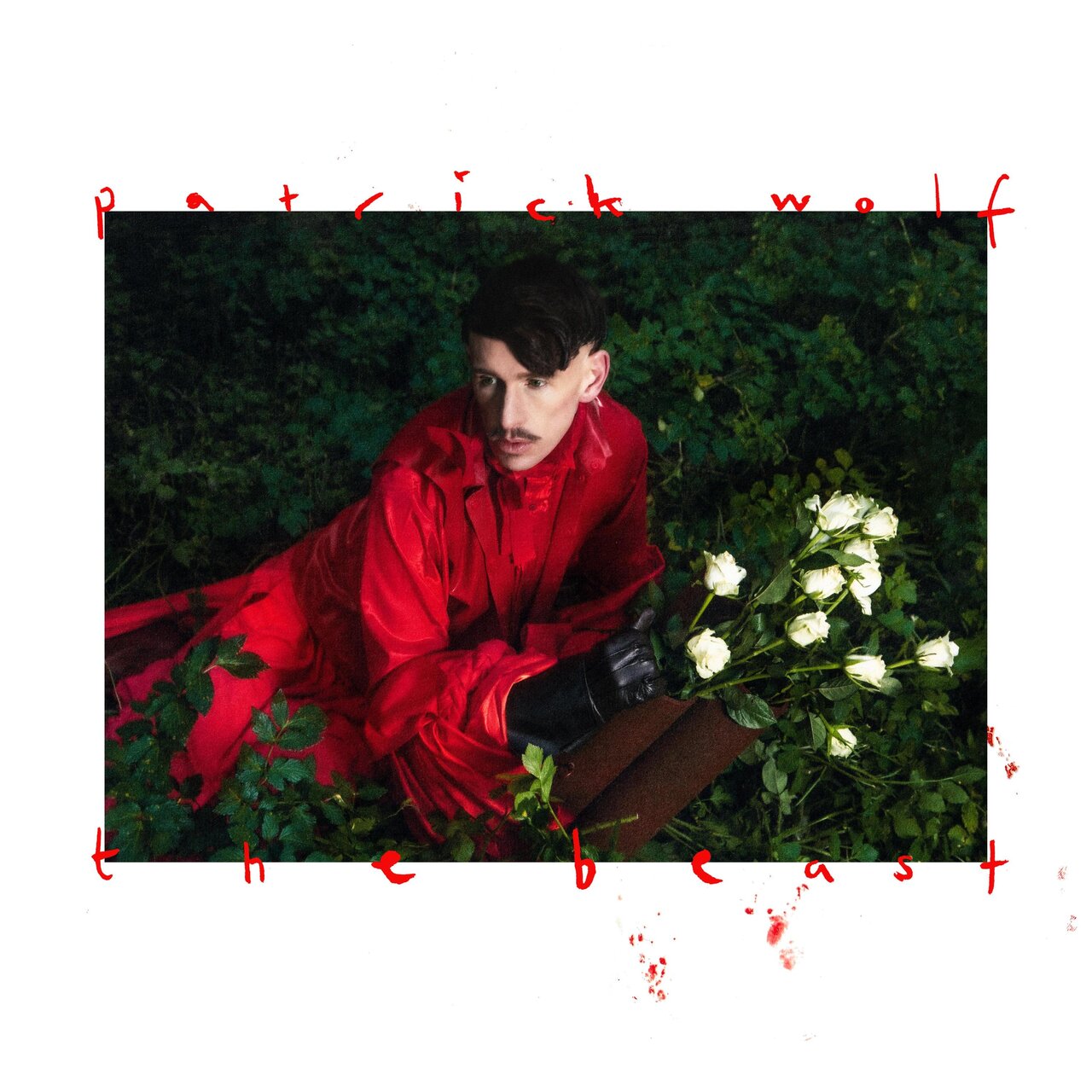 Patrick Wolf
