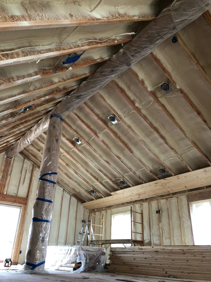 cabin spray foam