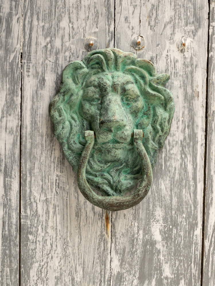Bronze door knocker lion design 24 cm
