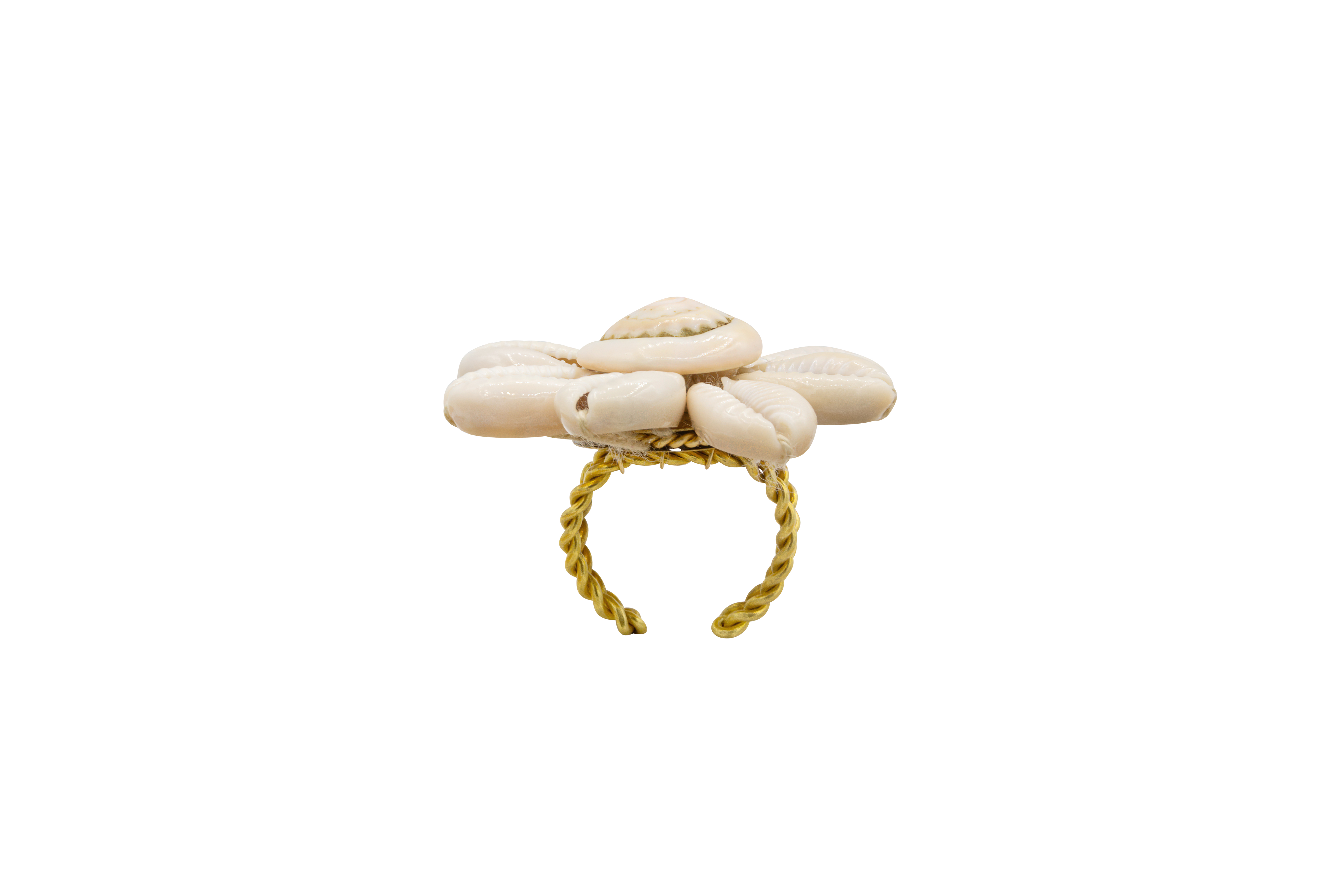 Sea daisy ring.