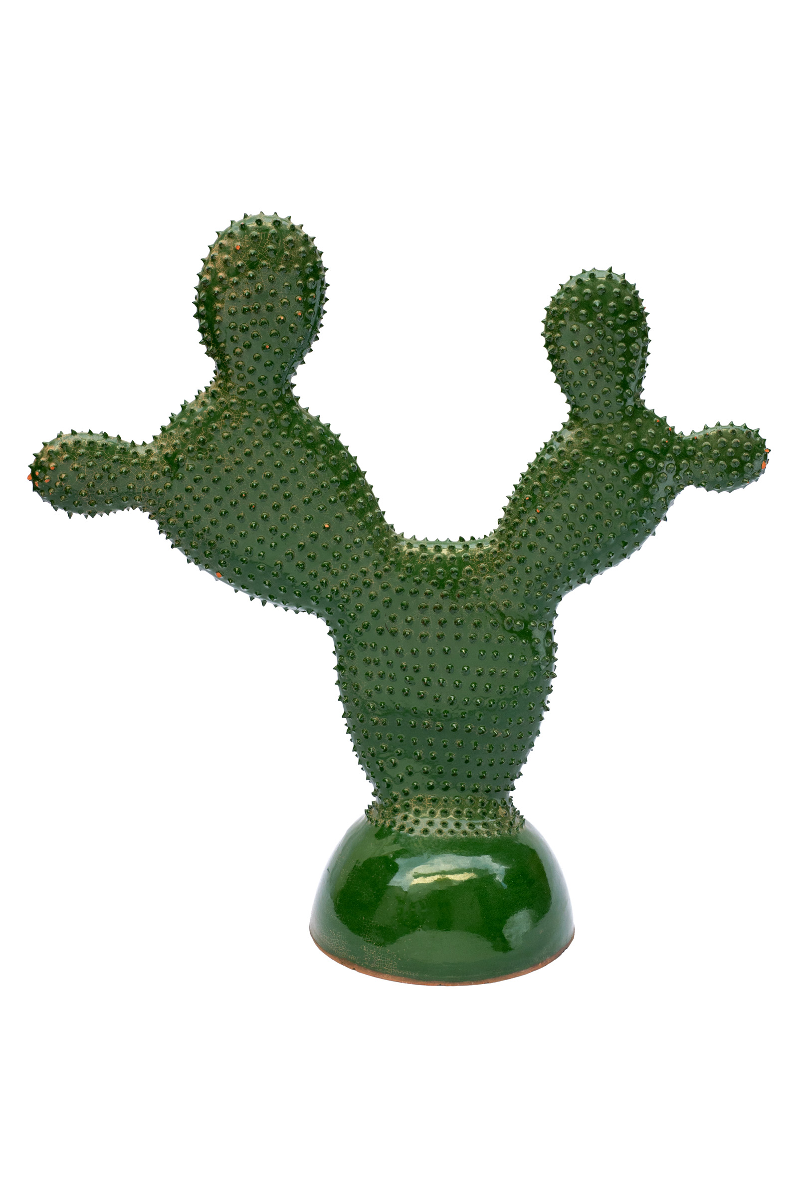 Ceramic cactus.