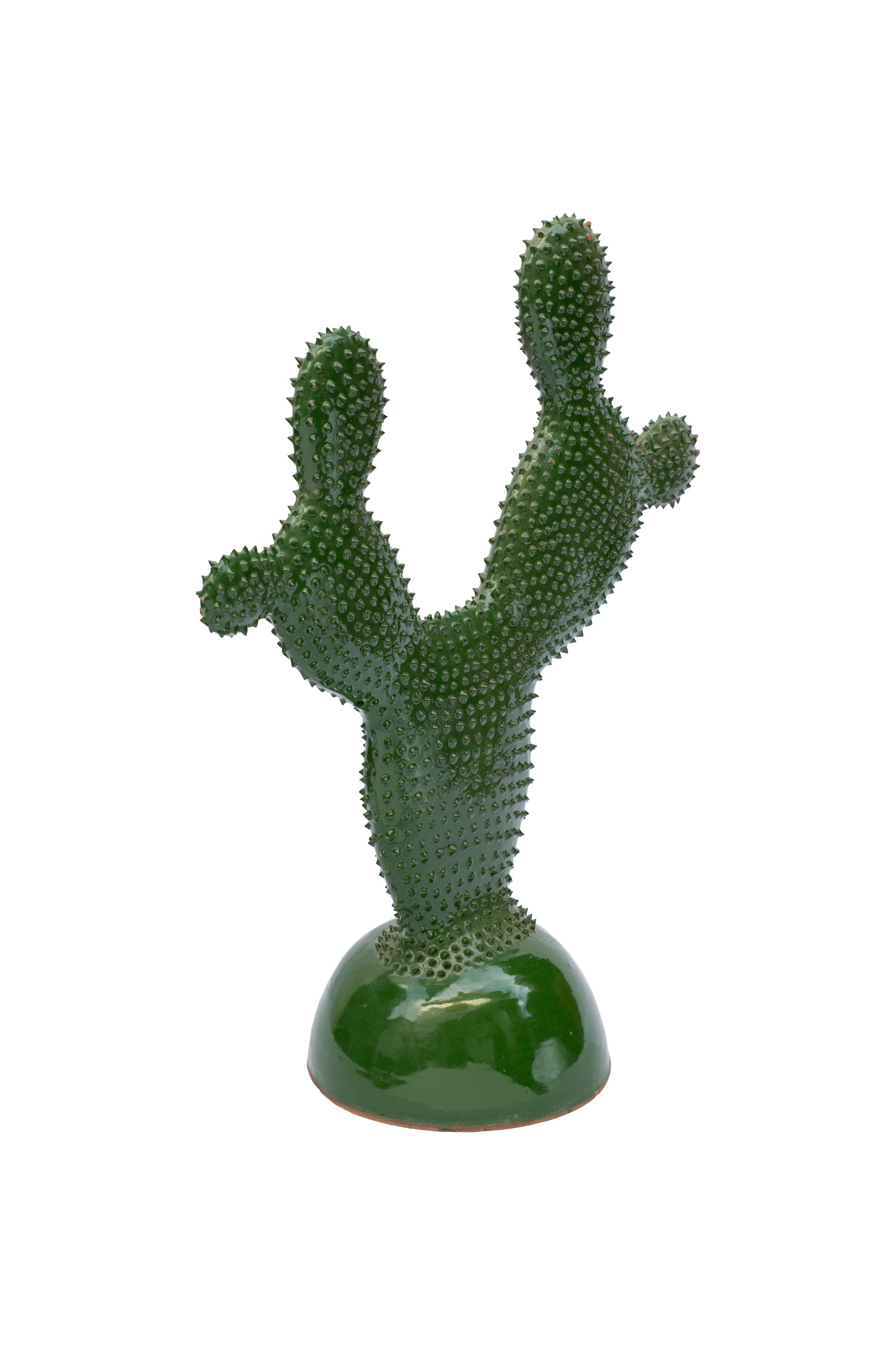 Ceramic cactus.