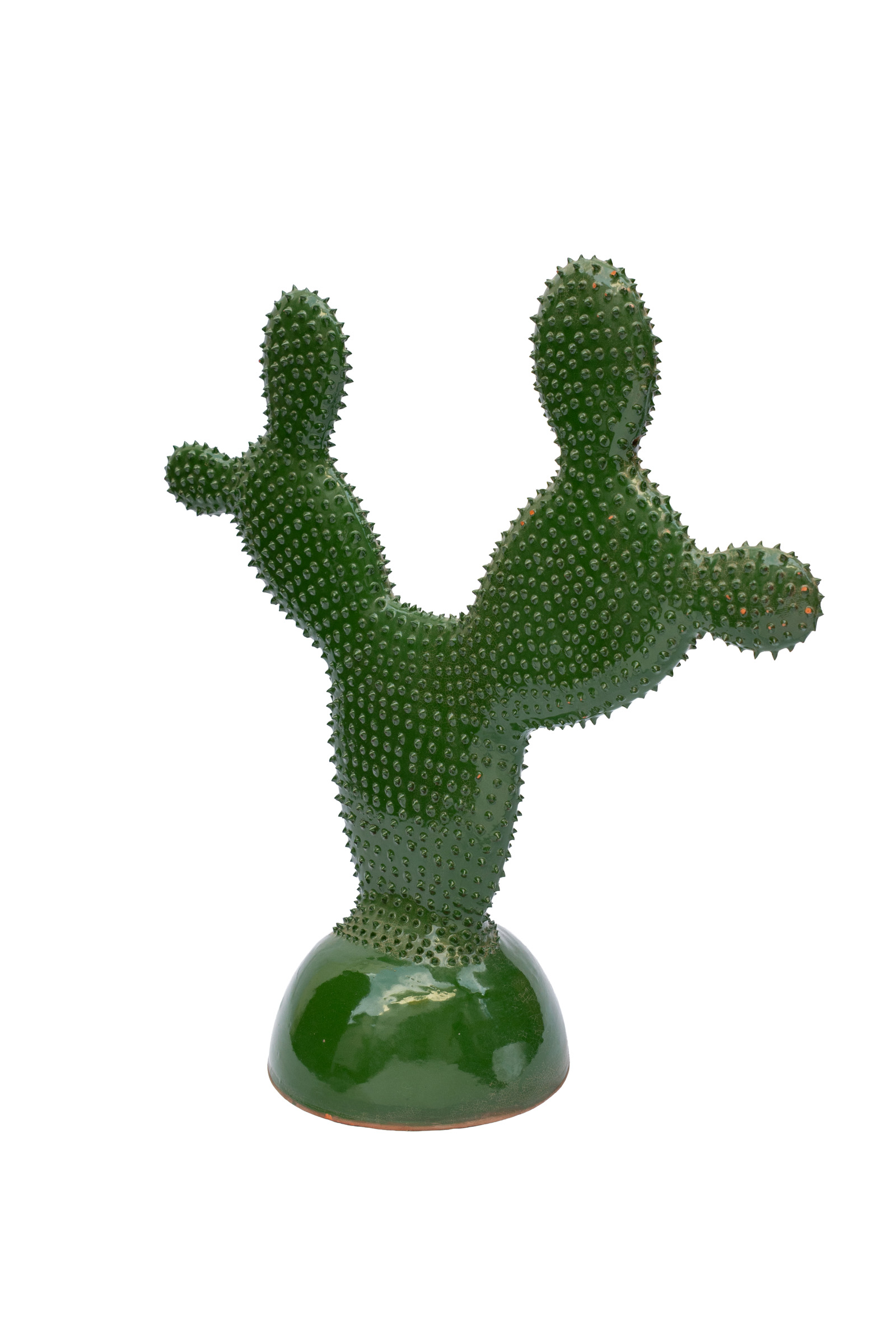 Ceramic cactus.