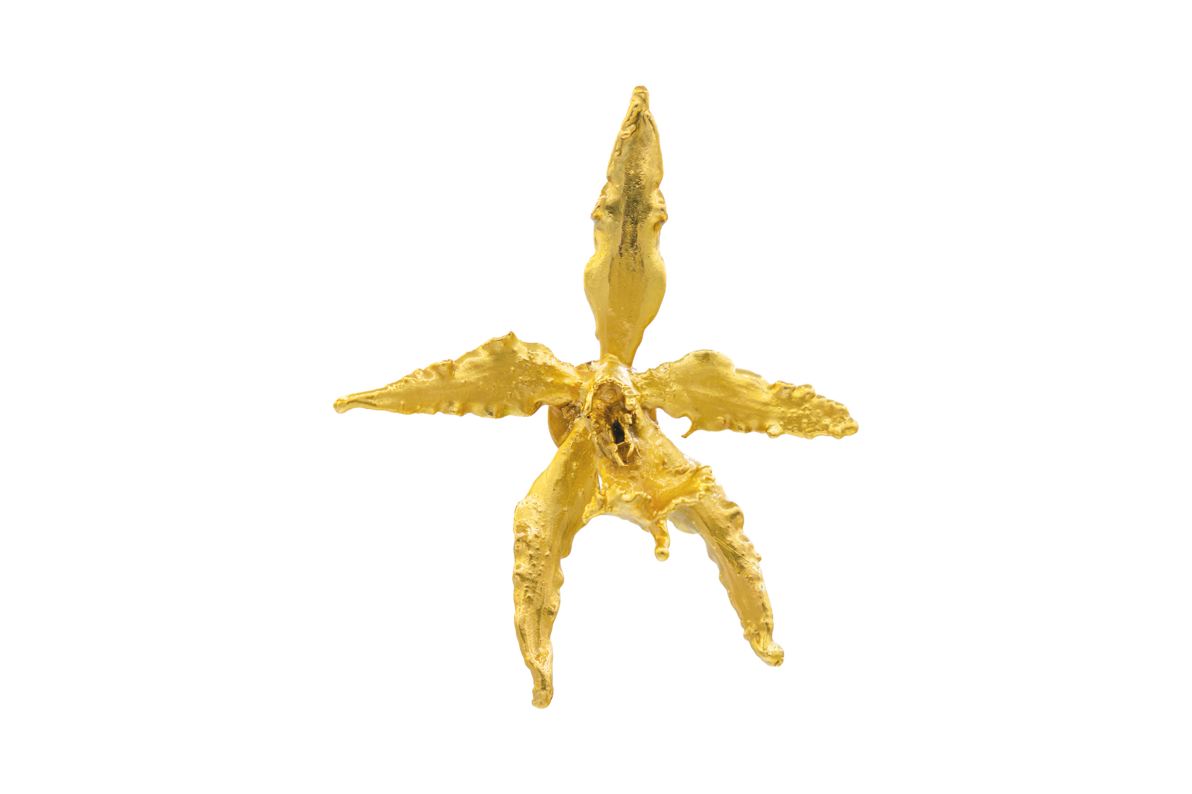 Broche-Dije orquidea dendrobium