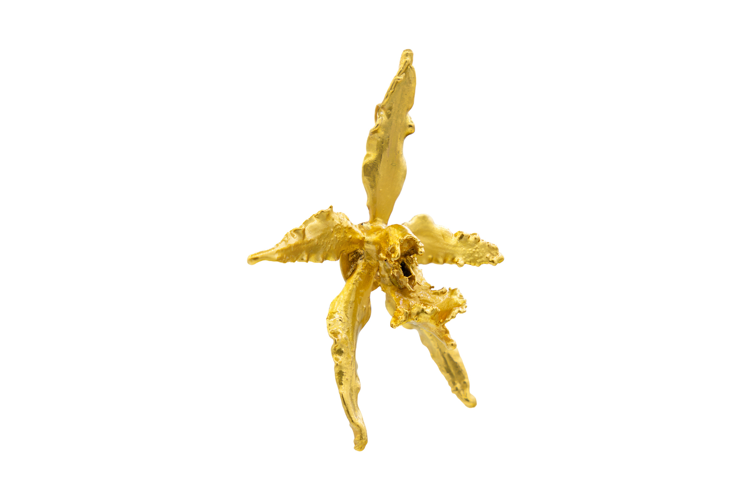 Broche-Dije orquidea dendrobium