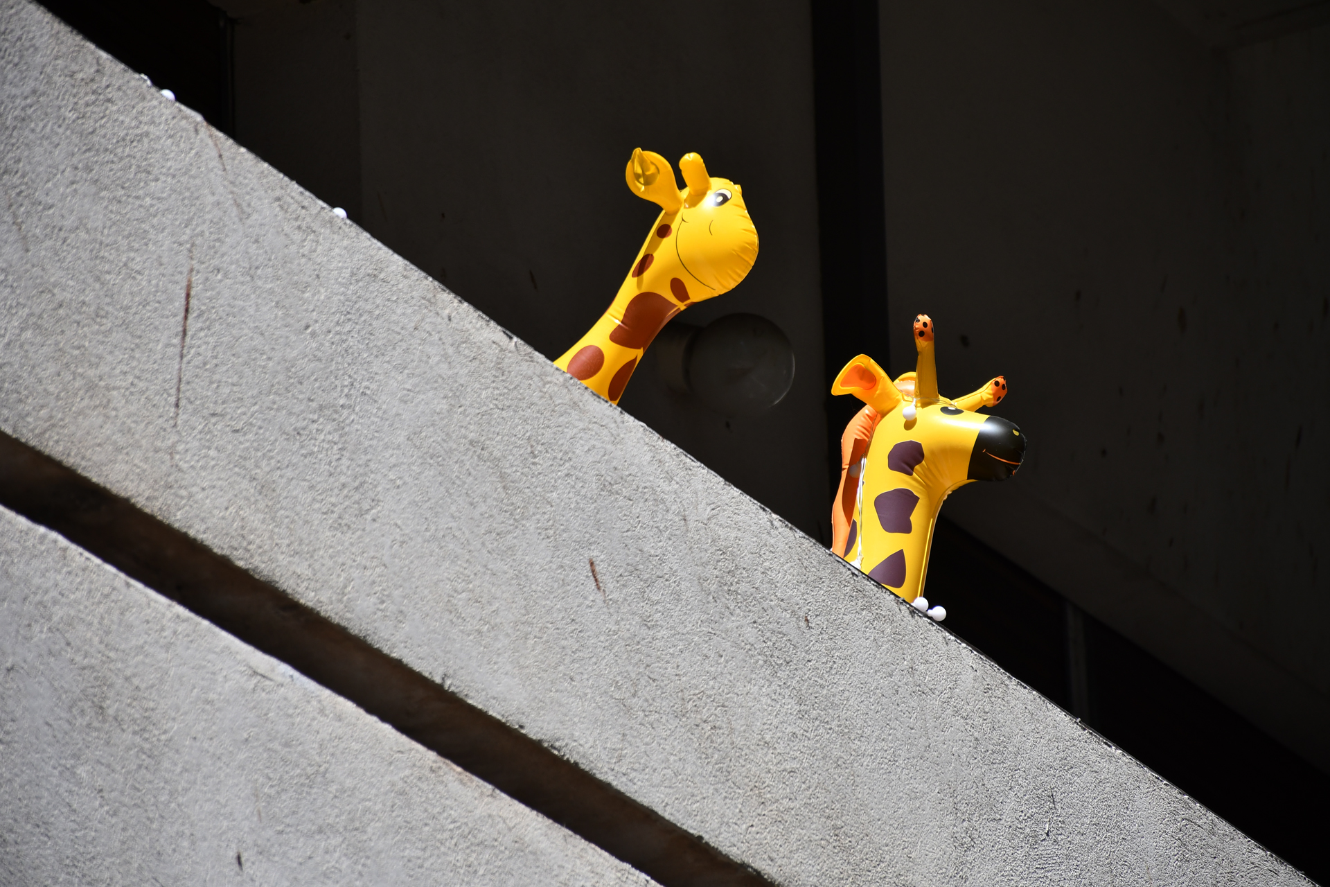 יואל שתרוג - אדמה יוצרת - עיר ללא הפסקה - תל אביב - yoel sitruk