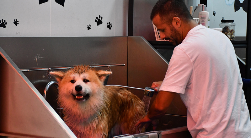 יואל שתרוג - אדמה יוצרת - עיר ללא הפסקה - תל אביב - yoel sitruk