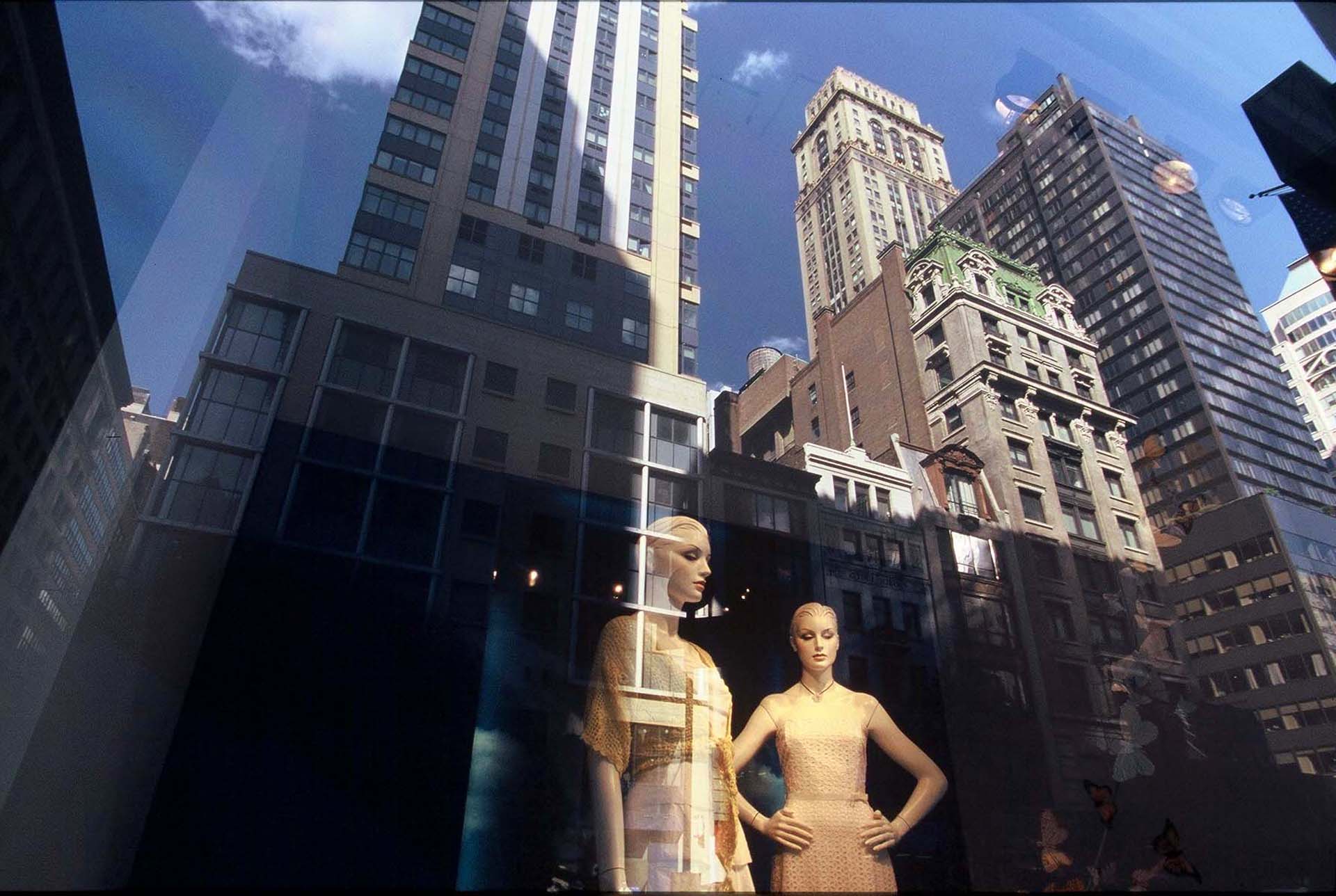 חלונות ראווה - יואל שתרוג - אדמה יוצרת yoel sitruk חלומות ראווה - פנטזיה