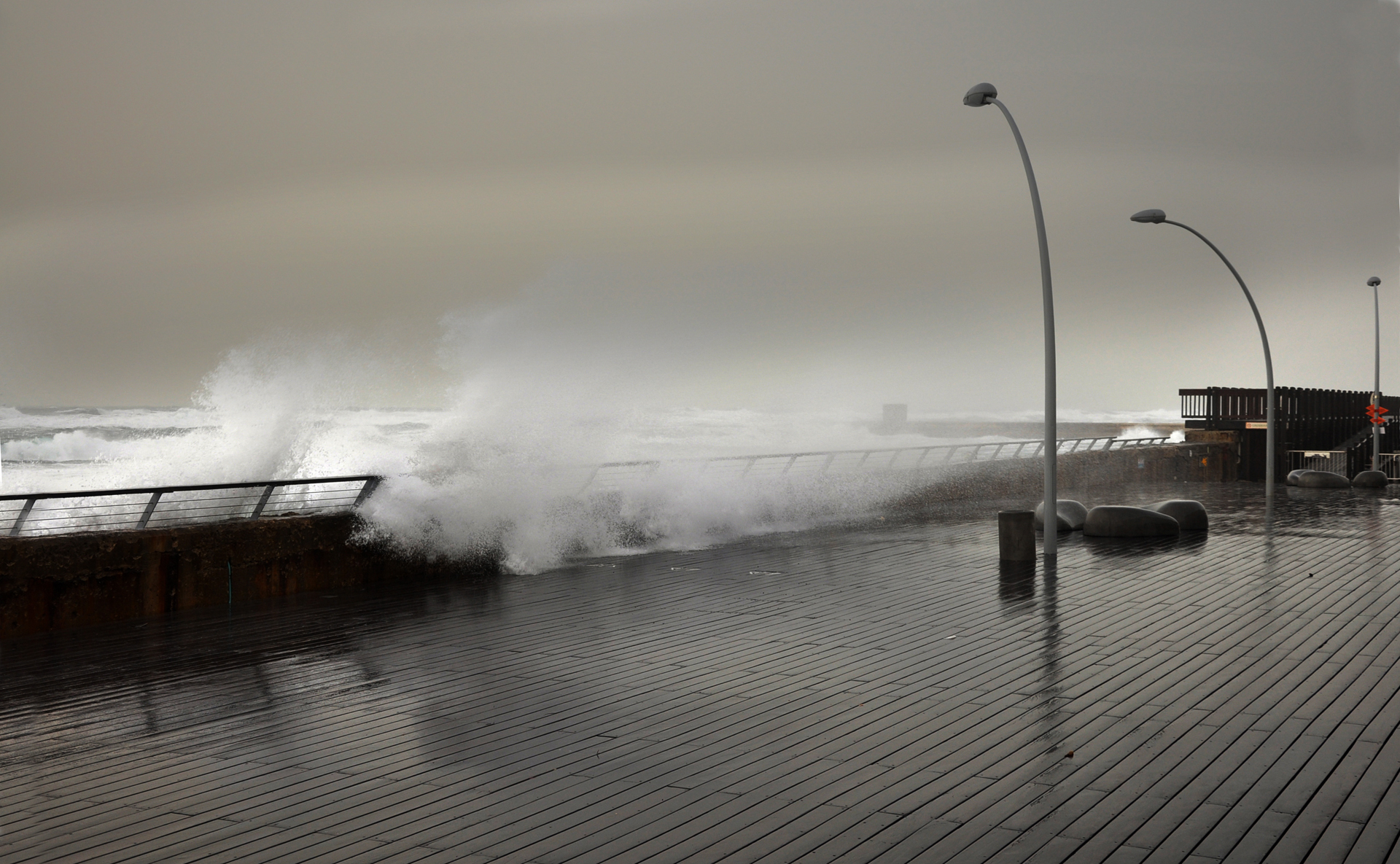 דצמבר - יואל שתרוג - אדמה יוצרת- yoel sitruk