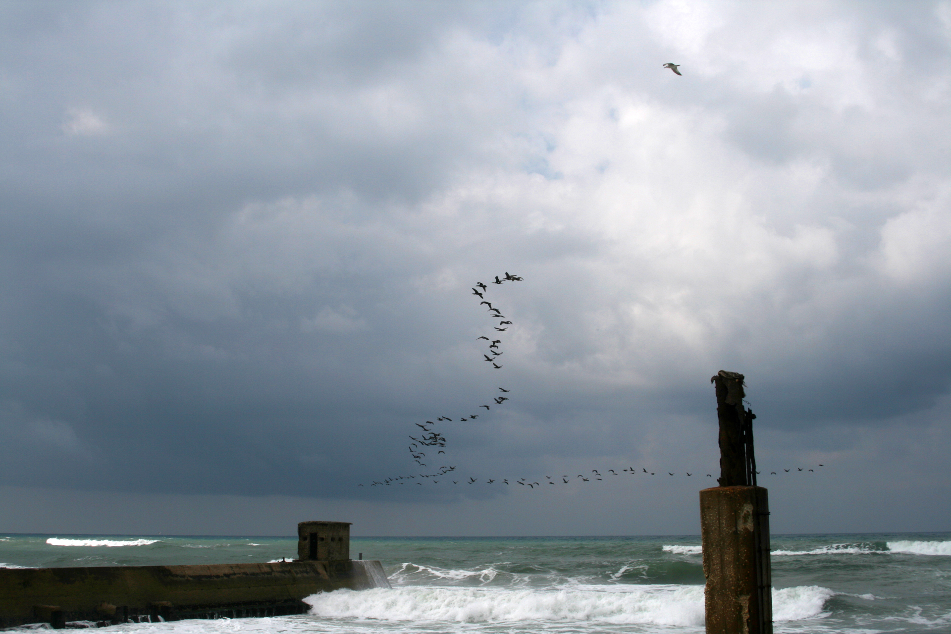דצמבר - יואל שתרוג - אדמה יוצרת- yoel sitruk