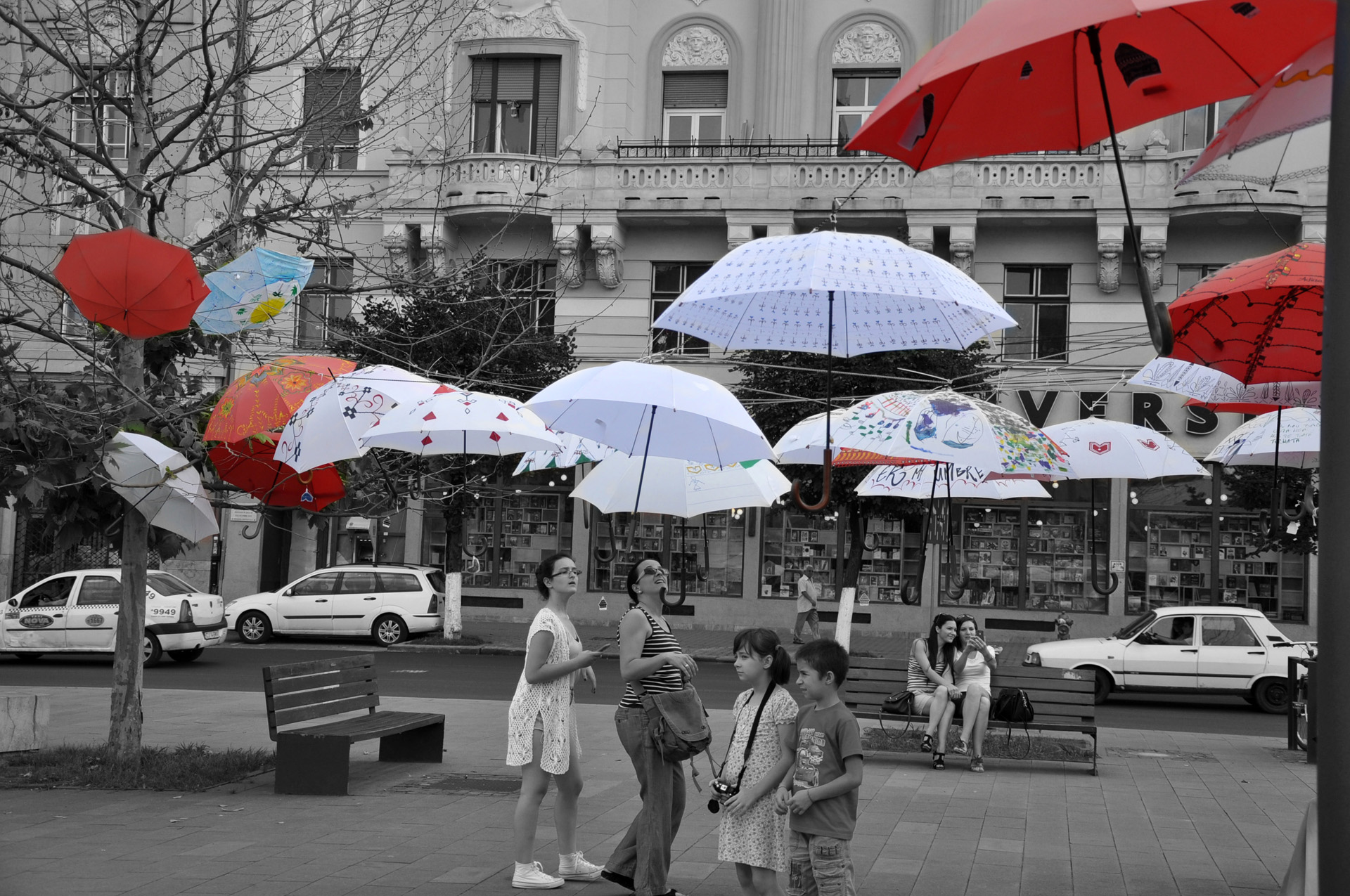 יואל שתרוג - דצמבר - אדמה יוצרת