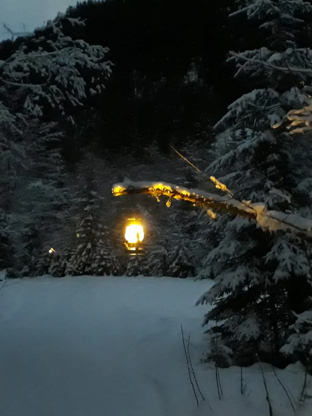 Oben Sterne, unten Laterne.. 