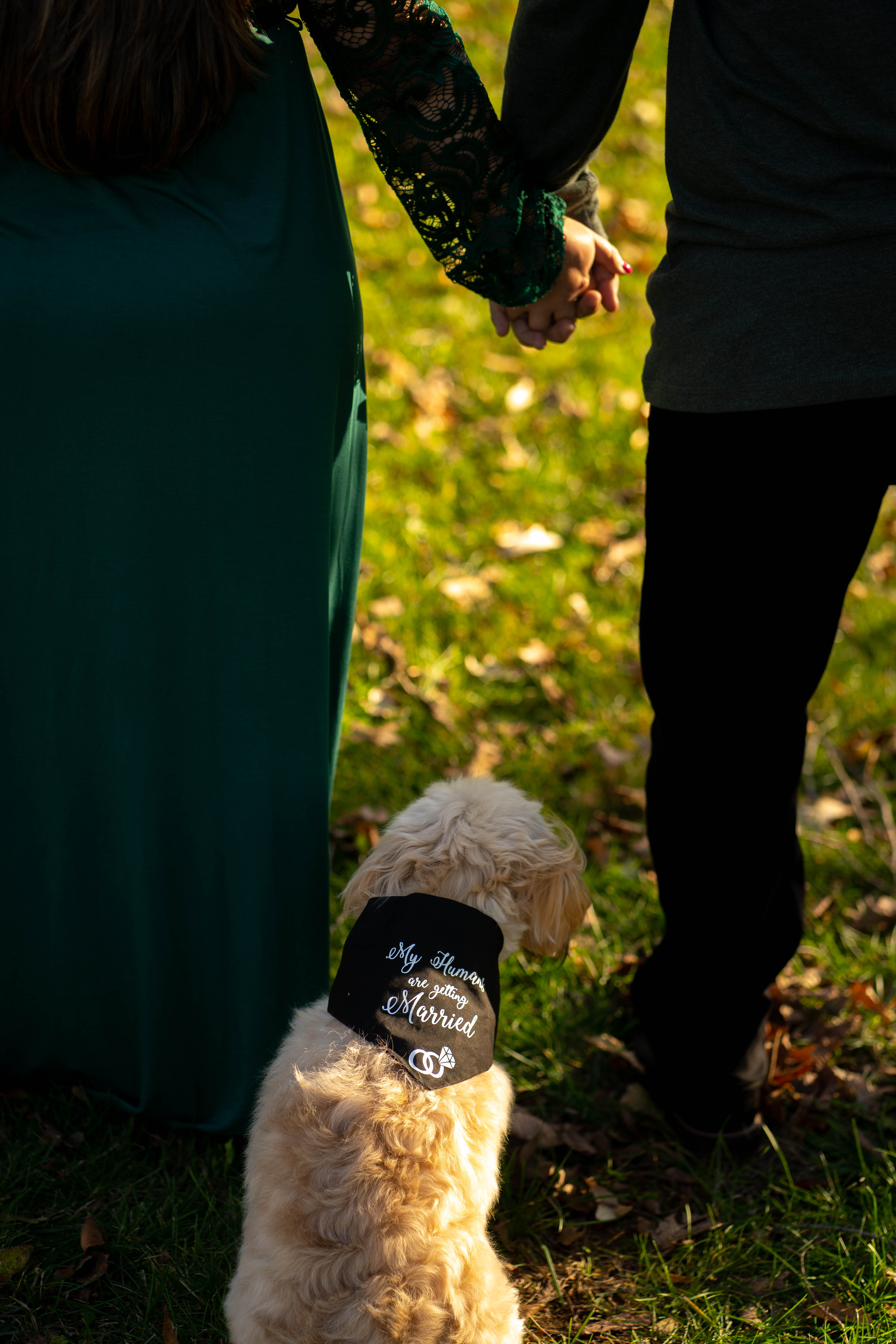 dog lovers engagement photoshoot 