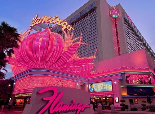 Stay with us at the Fabulous Flamingo!