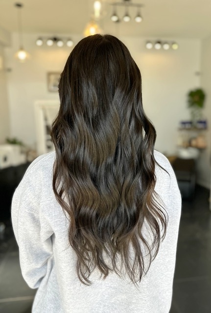 SD - Rich dark brown hues