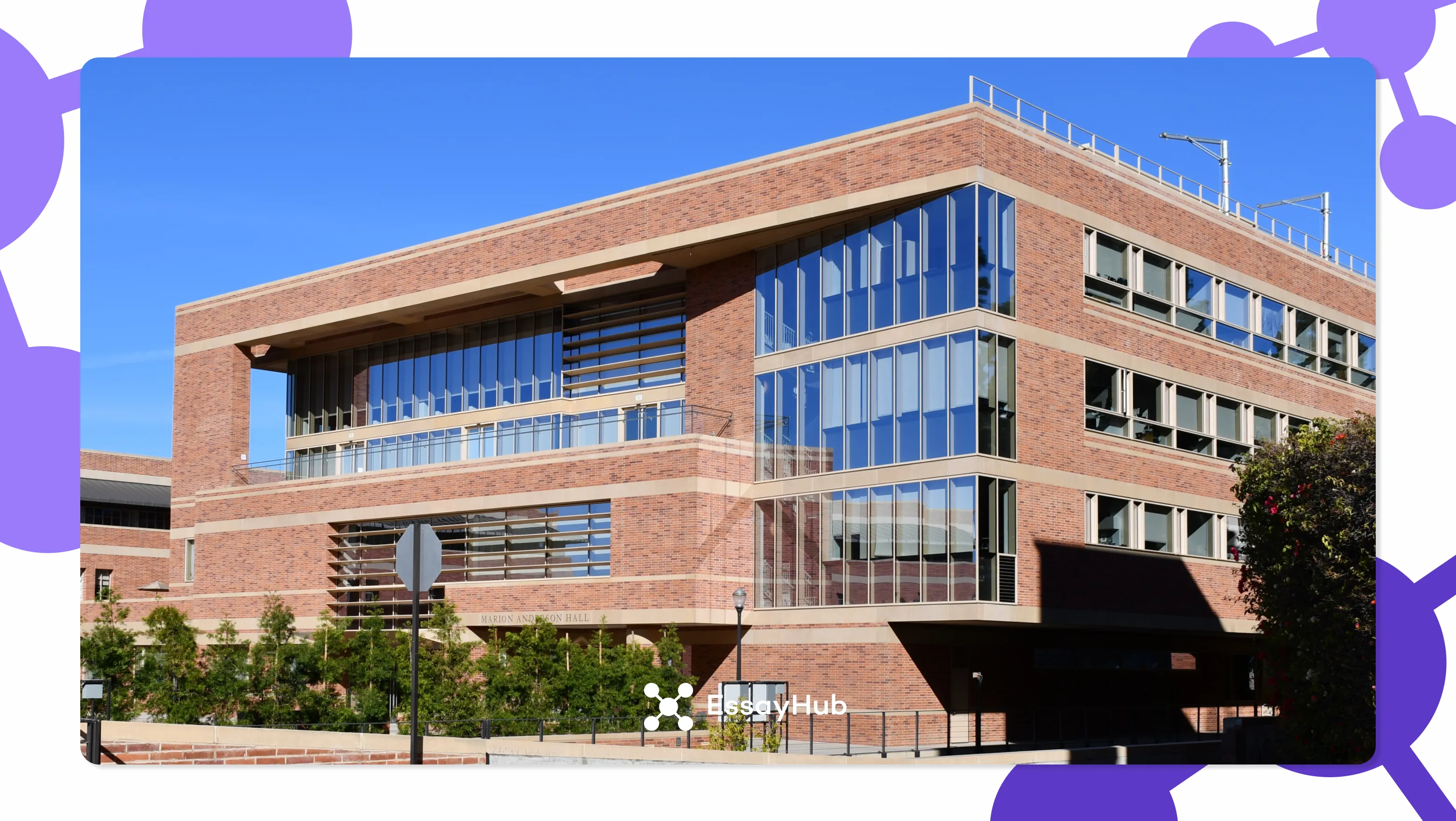 UCLA Anderson